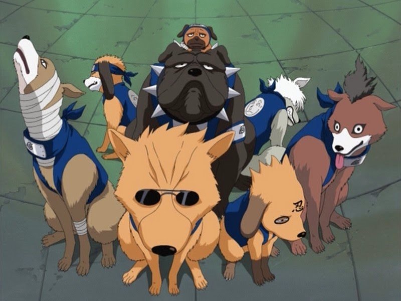 anjing-anjing ninja milik kakashi